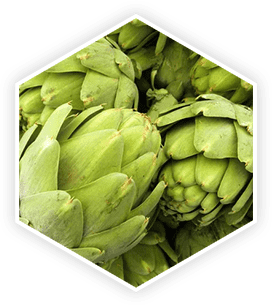 Ingredient 10