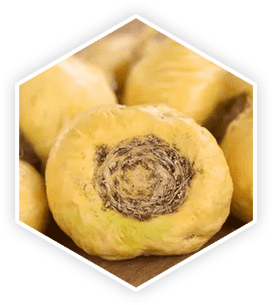 Ingredient 9